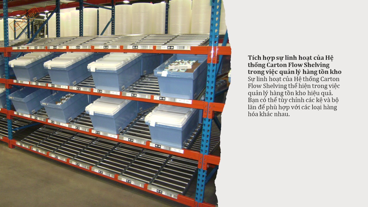 Hiểu về Hệ thống Carton Flow Shelving 2 Hiểu về Hệ thống Carton Flow Shelving (2)