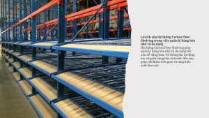 Hiểu về Hệ thống Carton Flow Shelving (3)