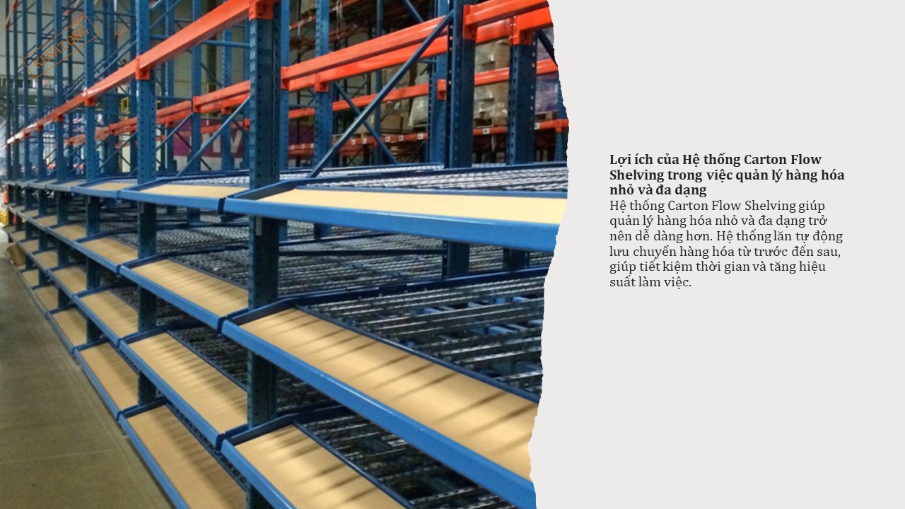 Hiểu về Hệ thống Carton Flow Shelving 3 Hiểu về Hệ thống Carton Flow Shelving (3)