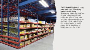 Hiểu về Hệ thống Carton Flow Shelving (7)